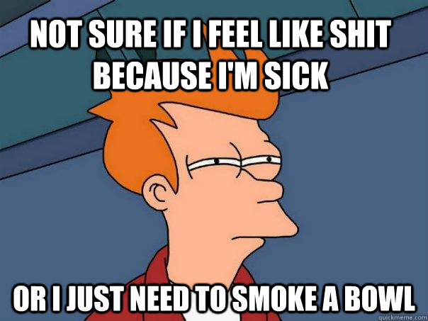 not sure if i feel like shit because I'm sick or i just need to smoke a bowl - not sure if i feel like shit because I'm sick or i just need to smoke a bowl  Futurama Fry