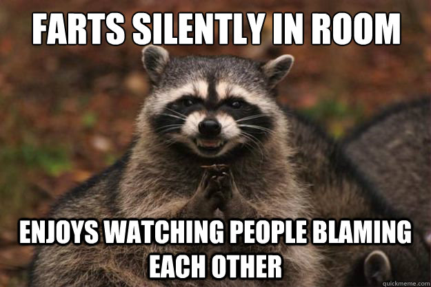 Farts silently in room Enjoys watching people blaming each other  Evil Plotting Raccoon