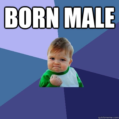 Born male   Success Kid