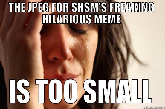 THE JPEG FOR SHSM'S FREAKING HILARIOUS MEME IS TOO SMALL First World Problems