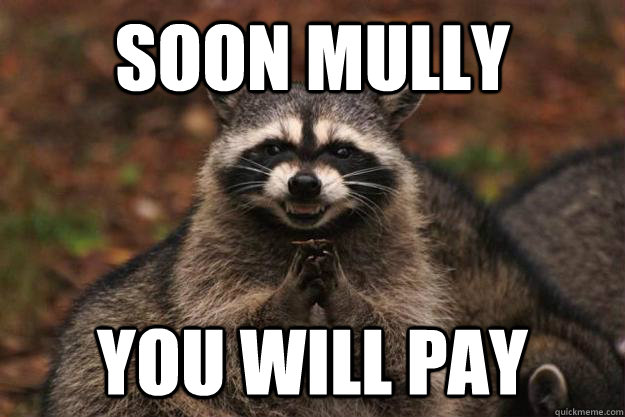 soon Mully you will pay - soon Mully you will pay  Evil Plotting Raccoon