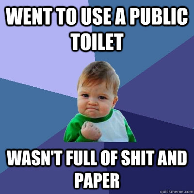 went to use a public toilet wasn't full of shit and paper - went to use a public toilet wasn't full of shit and paper  Success Kid
