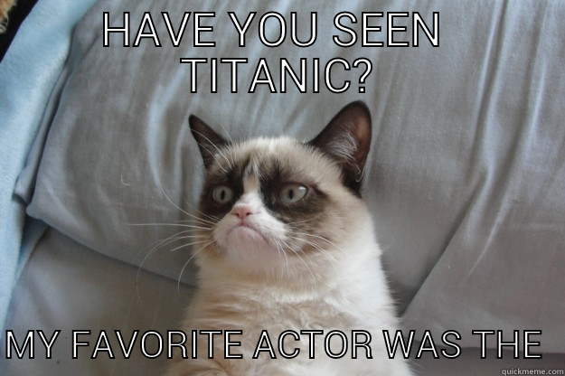 HAVE YOU SEEN  TITANIC?  MY FAVORITE ACTOR WAS THE ICEBERG Grumpy Cat