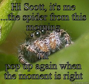 HI SCOTT, IT'S ME ...THE SPIDER FROM THIS MORNING I'LL POP UP AGAIN WHEN THE MOMENT IS RIGHT Misunderstood Spider