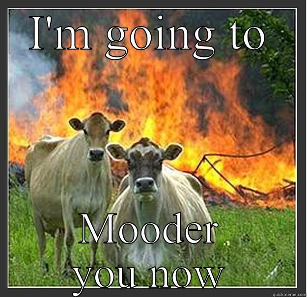 Cow murder - I'M GOING TO MOODER YOU NOW Evil cows