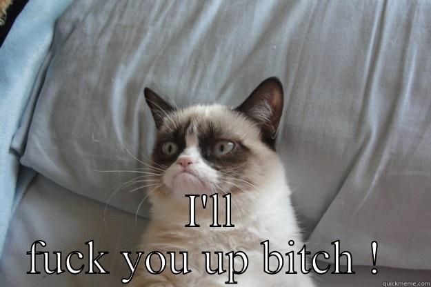  I'LL FUCK YOU UP BITCH !  Grumpy Cat