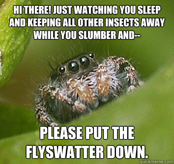 Hi there! just watching you sleep and keeping all other insects away while you slumber and-- please put the flyswatter down.  Misunderstood Spider