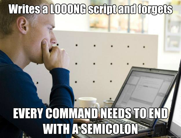 Writes a LOOONG script and forgets EVERY COMMAND NEEDS TO END WITH A SEMICOLON  Programmer