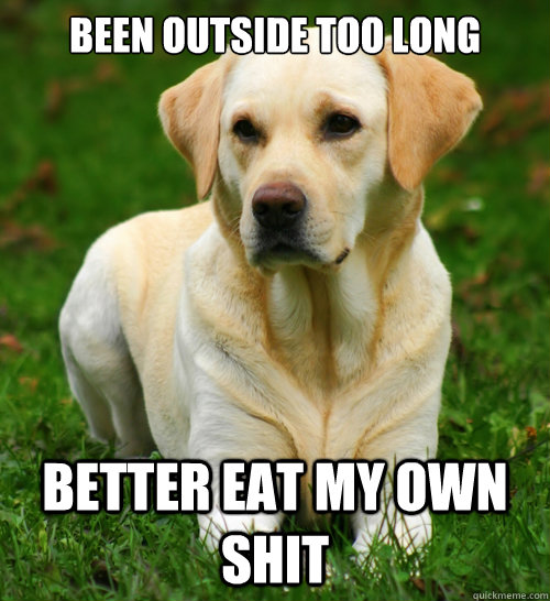 Been outside too long better eat my own shit  Dog Logic