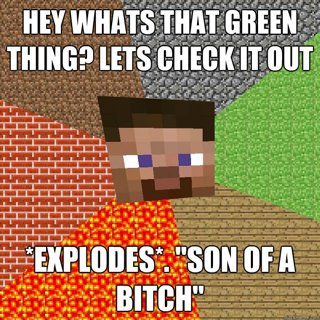 HEY WHATS THAT GREEN THING? LETS CHECK IT OUT *EXPLODES*. 