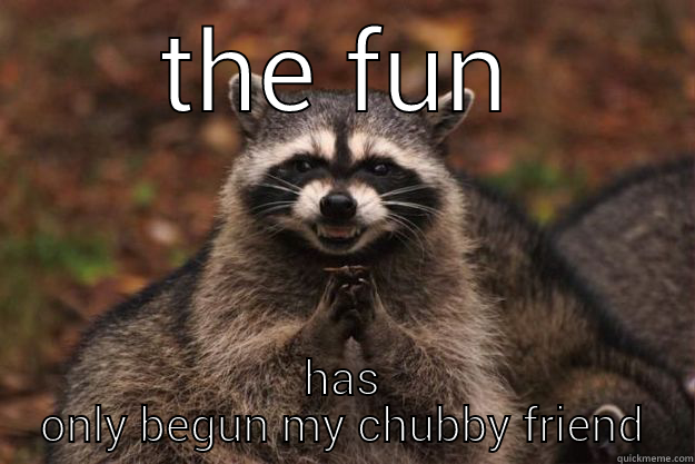 THE FUN HAS ONLY BEGUN MY CHUBBY FRIEND Evil Plotting Raccoon