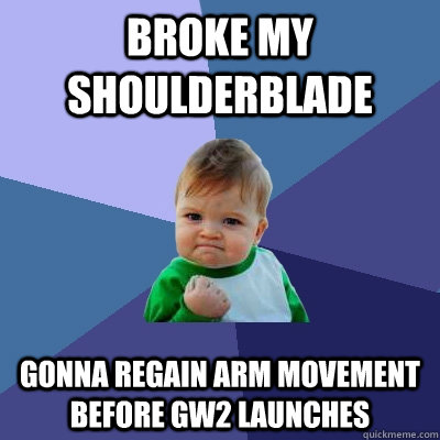 Broke my shoulderblade Gonna regain arm movement before GW2 launches  Success Kid