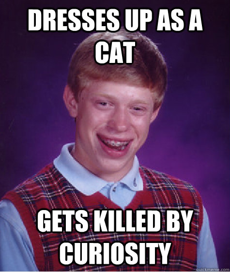 Dresses up as a cat gets killed by curiosity - Dresses up as a cat gets killed by curiosity  Bad Luck Brian