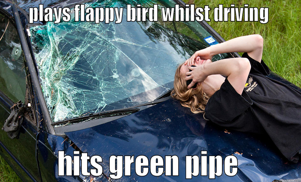 flapp flapp -     PLAYS FLAPPY BIRD WHILST DRIVING             HITS GREEN PIPE         Misc