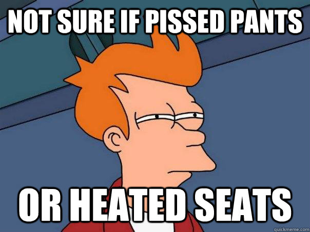 Not sure if pissed pants Or heated seats  Futurama Fry