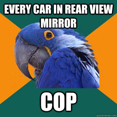 every car in rear view mirror cop - every car in rear view mirror cop  Paranoid Parrot