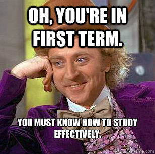 Oh, you're in first term. You must know how to study effectively.
   Condescending Wonka