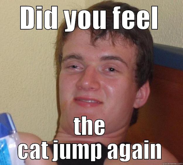 DID YOU FEEL THE CAT JUMP AGAIN 10 Guy