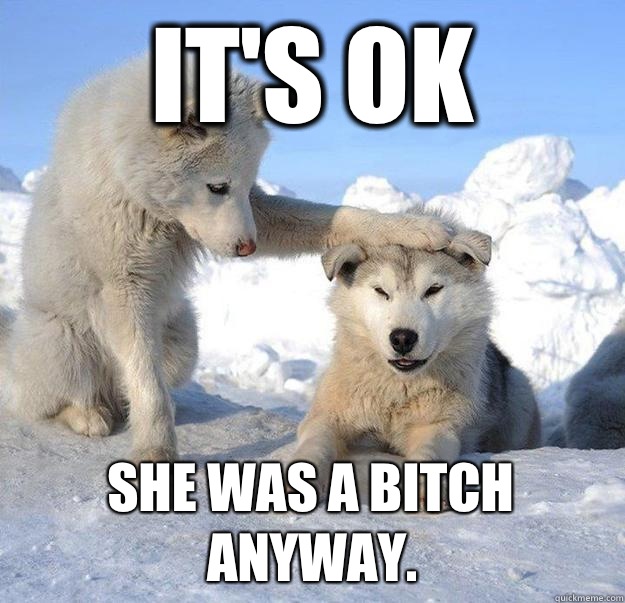 It's ok She was a bitch anyway.   Caring Husky