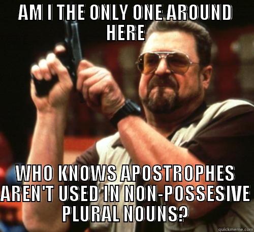 AM I THE ONLY ONE AROUND HERE WHO KNOWS APOSTROPHES AREN'T USED IN NON-POSSESSIVE PLURAL NOUNS? Am I The Only One Around Here