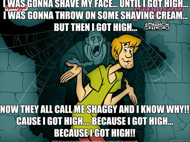 i was gonna shave my face... until i got high... 
i was gonna throw on some shaving cream... but then i got high... Now they all call me shaggy and I KNOW WHY!!
cause i got high.... because i got high... because i got high!!  Irrational Shaggy