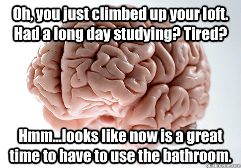 Oh, you just climbed up your loft. Had a long day studying? Tired? Hmm...looks like now is a great time to have to use the bathroom.   Scumbag Brain