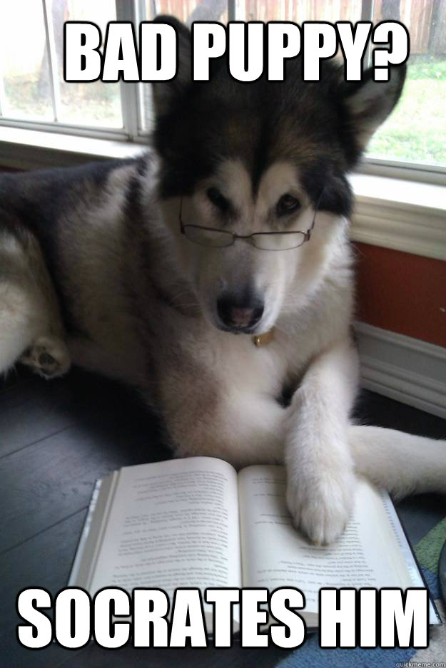 Bad Puppy? Socrates him  Condescending Literary Pun Dog
