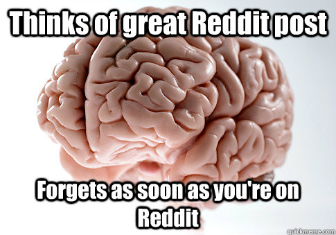 Thinks of great Reddit post Forgets as soon as you're on Reddit  Scumbag Brain