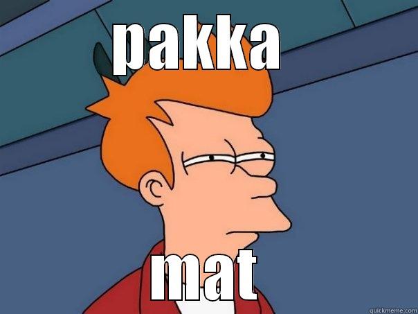 PAKKA  MAT Futurama Fry