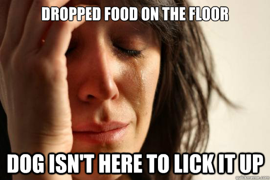 Dropped food on the floor dog isn't here to lick it up  First World Problems