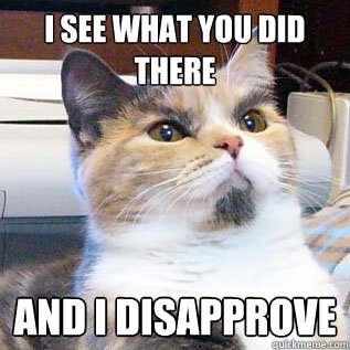 I see what you did there and I disapprove - I see what you did there and I disapprove  Disapproval cat