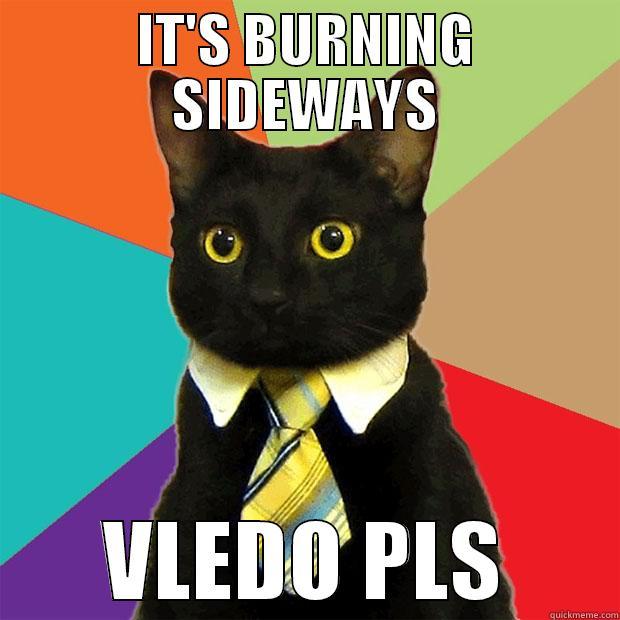 IT'S BURNING SIDEWAYS VLEDO PLS Business Cat