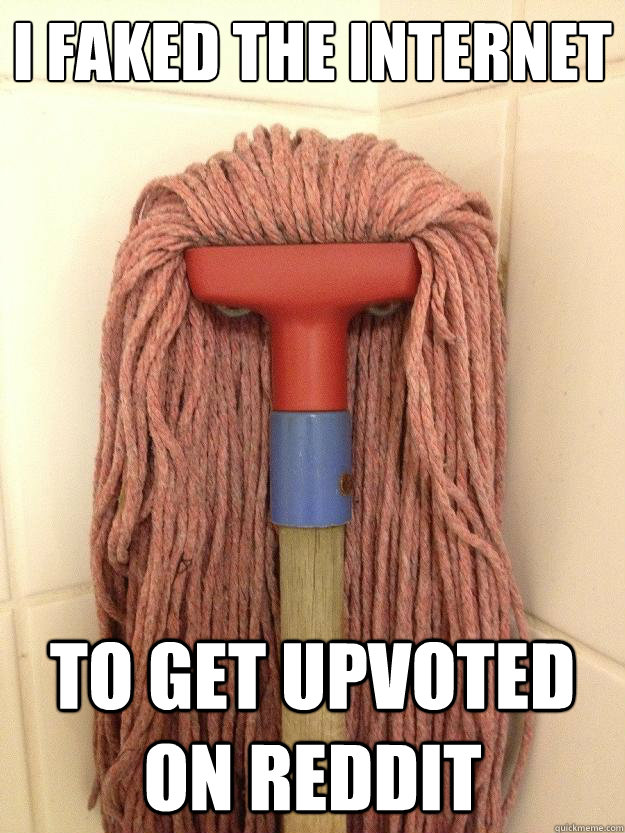 I faked the internet To get upvoted on reddit  Insanity Mop