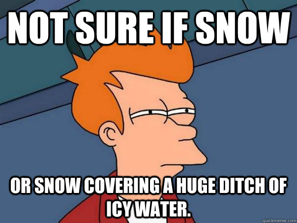 Not sure if snow Or snow covering a huge ditch of icy water.  Futurama Fry