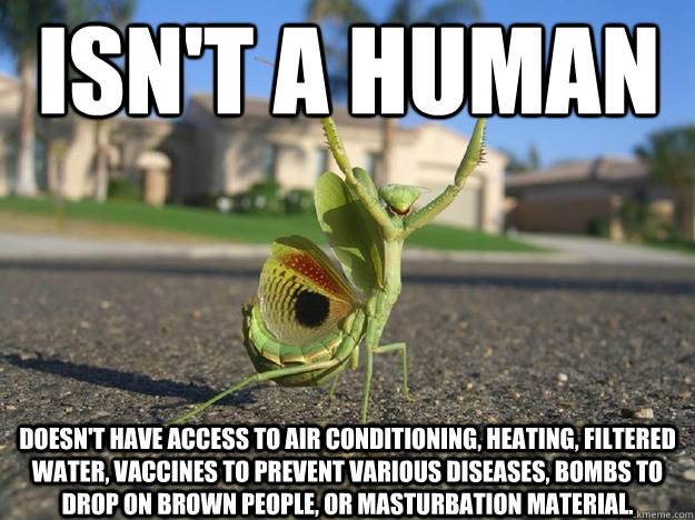 Isn't a human Doesn't have access to air conditioning, heating, filtered water, vaccines to prevent various diseases, bombs to drop on brown people, or masturbation material. - Isn't a human Doesn't have access to air conditioning, heating, filtered water, vaccines to prevent various diseases, bombs to drop on brown people, or masturbation material.  Bad Luck Mantis