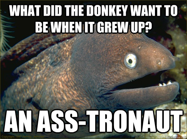 what did the donkey want to be when it grew up? an Ass-tronaut  Bad Joke Eel