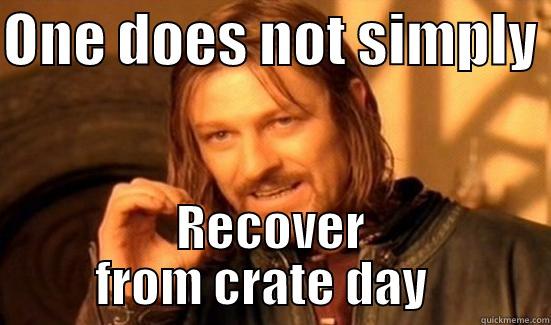 ONE DOES NOT SIMPLY  RECOVER FROM CRATE DAY   Boromir