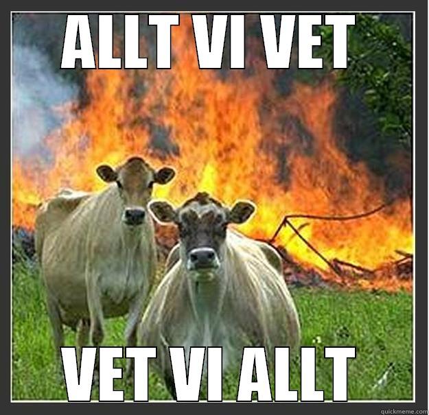 ALLT VI VET VET VI ALLT Evil cows