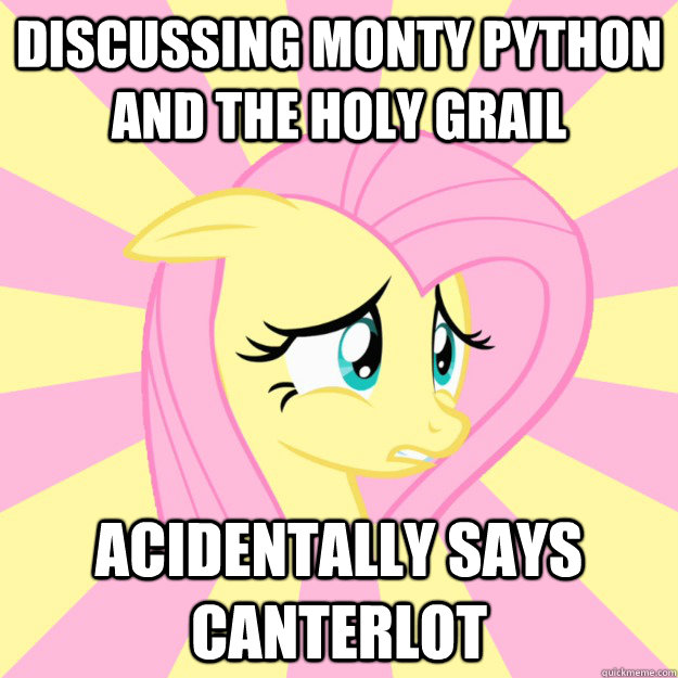 Discussing Monty python and the holy grail acidentally says canterlot  Socially awkward brony