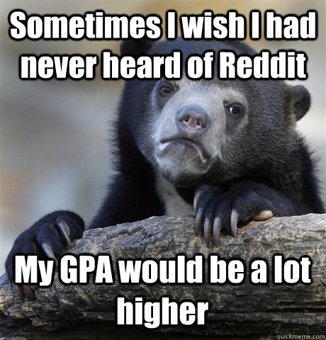 Sometimes I wish I had never heard of Reddit My GPA would be a lot higher  Confession Bear