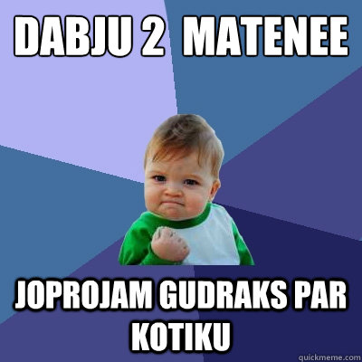 Dabūju 2  matenee joprojam gudraks par kotiku  Success Kid