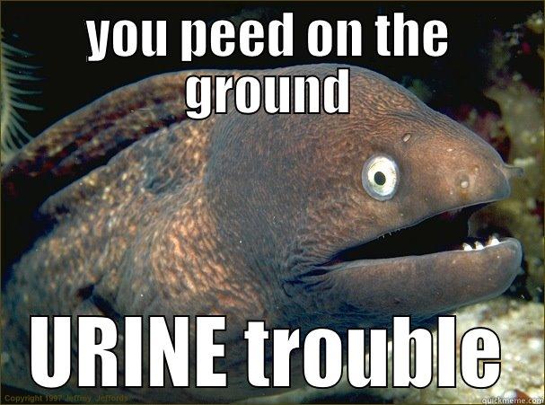 YOU PEED ON THE GROUND URINE TROUBLE Bad Joke Eel