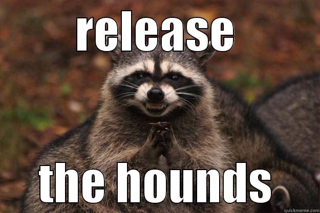 RELEASE THE HOUNDS Evil Plotting Raccoon