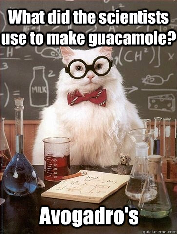 What did the scientists use to make guacamole? Avogadro's  Chemistry Cat