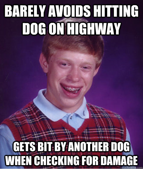 Barely avoids hitting dog on highway Gets bit by another dog when checking for damage - Barely avoids hitting dog on highway Gets bit by another dog when checking for damage  Bad Luck Brian