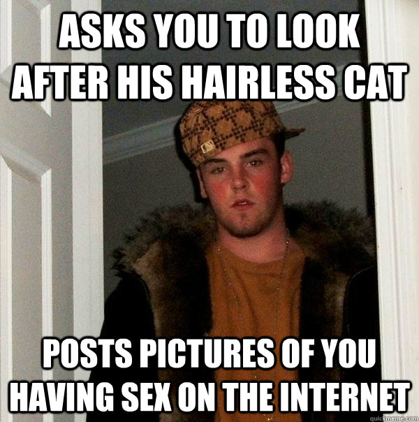 Asks you to look after his hairless cat Posts pictures of you having sex on the internet - Asks you to look after his hairless cat Posts pictures of you having sex on the internet  Scumbag Steve