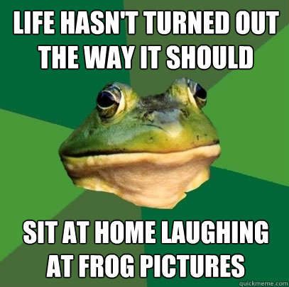 life hasn't turned out the way it should  sit at home laughing at frog pictures  Foul Bachelor Frog