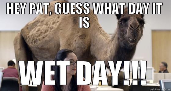 HEY PAT, GUESS WHAT DAY IT IS WET DAY!!! Misc