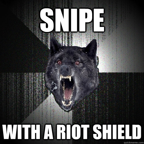 Snipe With a riot shield  Insanity Wolf