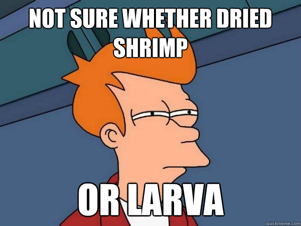 not sure whether dried shrimp or larva  Futurama Fry